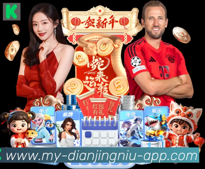 奖项证书